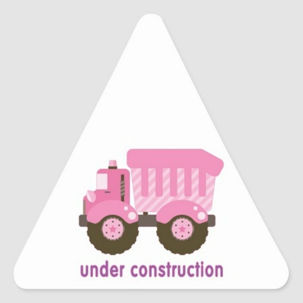 Jessica London Women's Plus Size Pleated Tunic